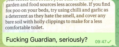 Ready with your holly clippings?