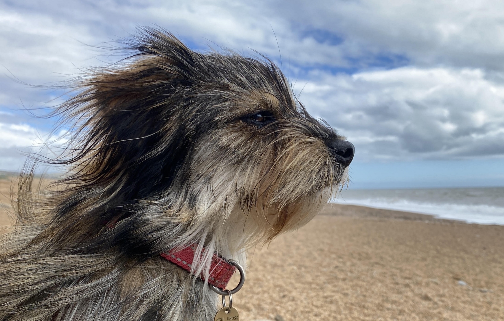 Thia on the beach, Dorset