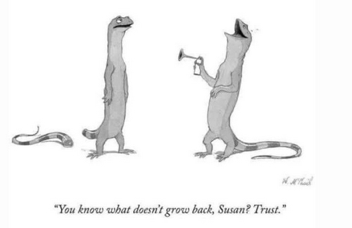 Susan lizard trust cartoon