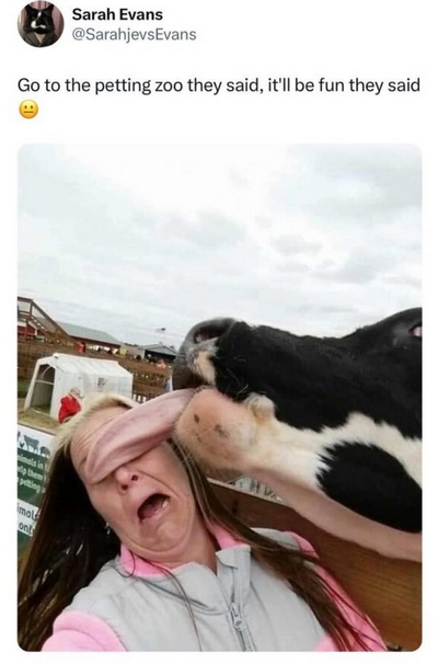 Go to the petting zoo they said