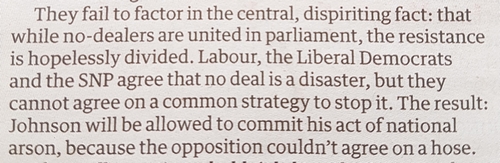 Johnson's national arson