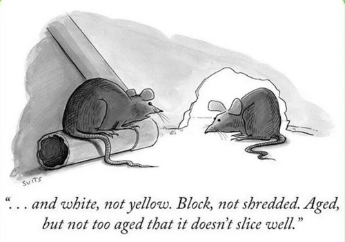 Choosy mice cartoon
