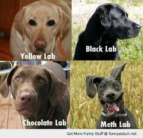 Meth lab joke