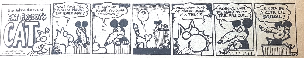 Use to be a cute lil squoil