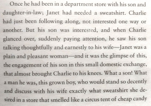 Anything Is Possible - Elizabeth Strout.