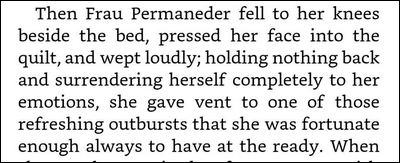 Buddenbrooks - Thomas Mann