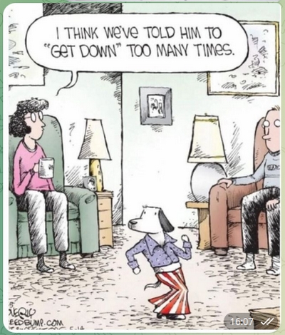 Dog get down joke