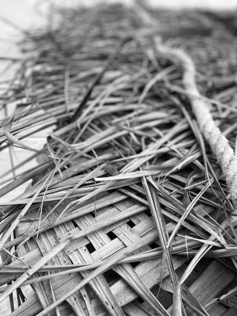 Hut roof, Nilaveli beach, Sri Lanka
