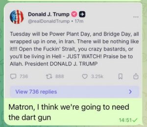 Dart-gun Donnie