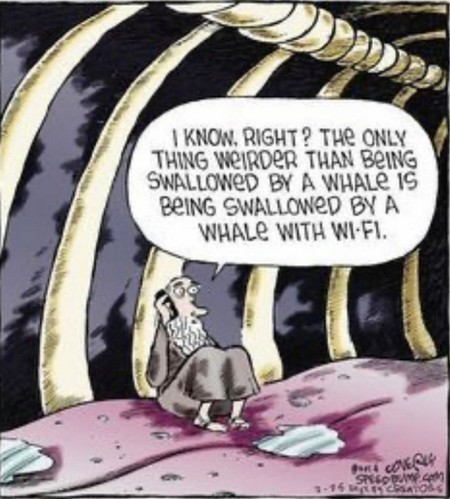 Whale with wifi gag