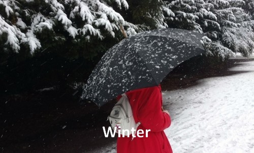 Winter