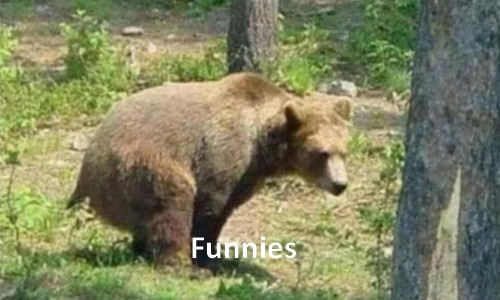 Funnies