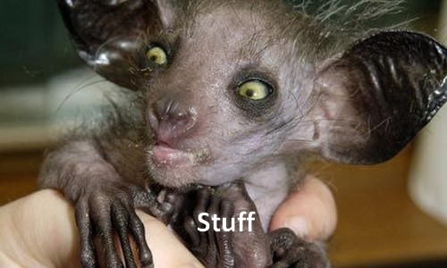 Stuff