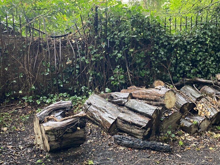 Queens Wood, Crouch End